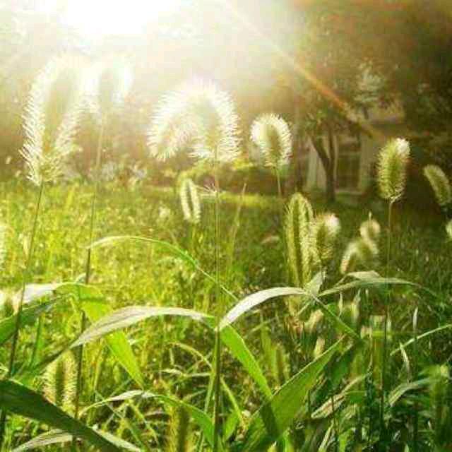 ❤ (ɔˆз(ˆ⌣ˆc)