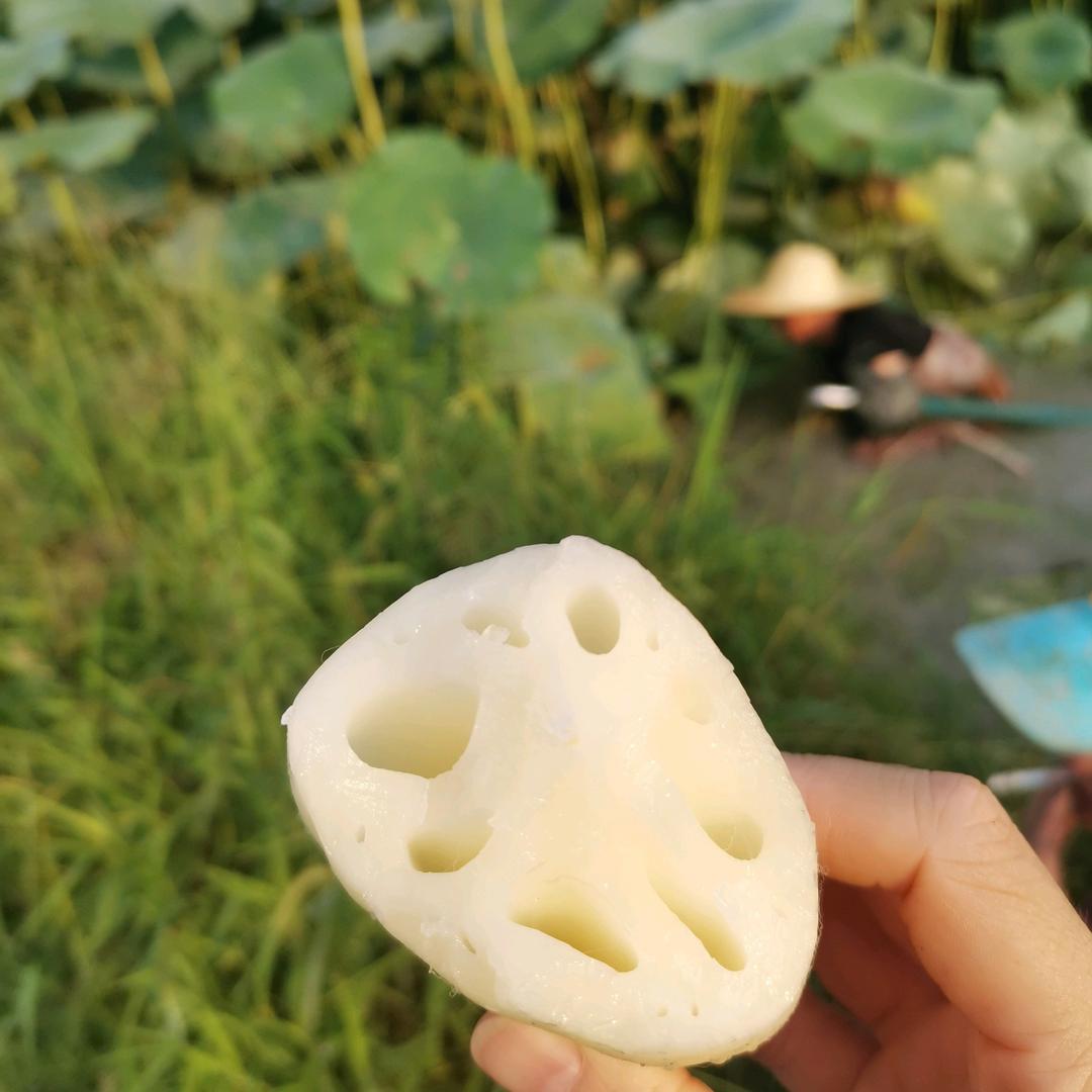 鸣优