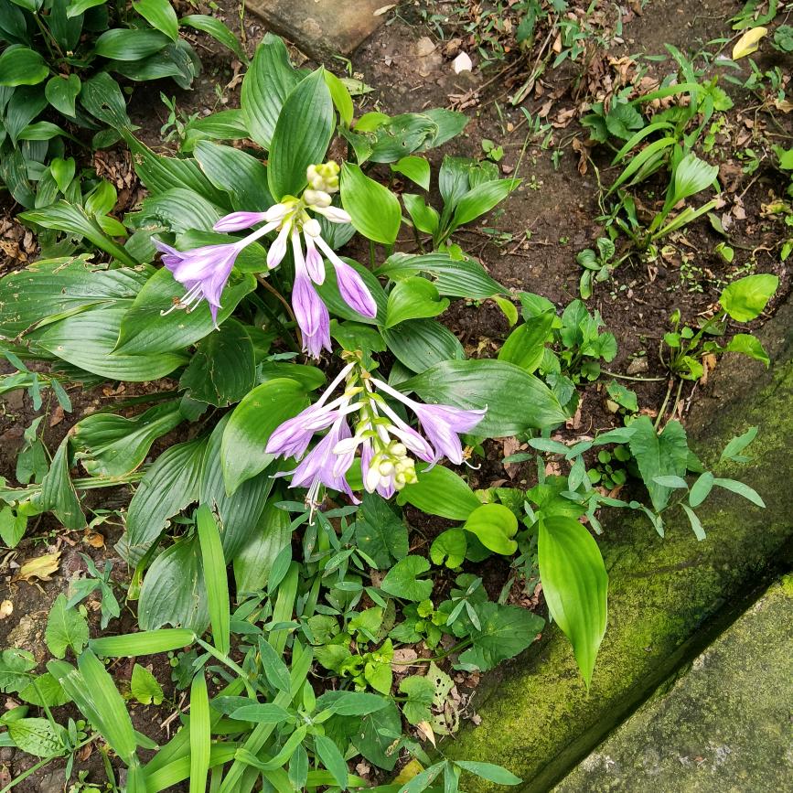 @一切随缘