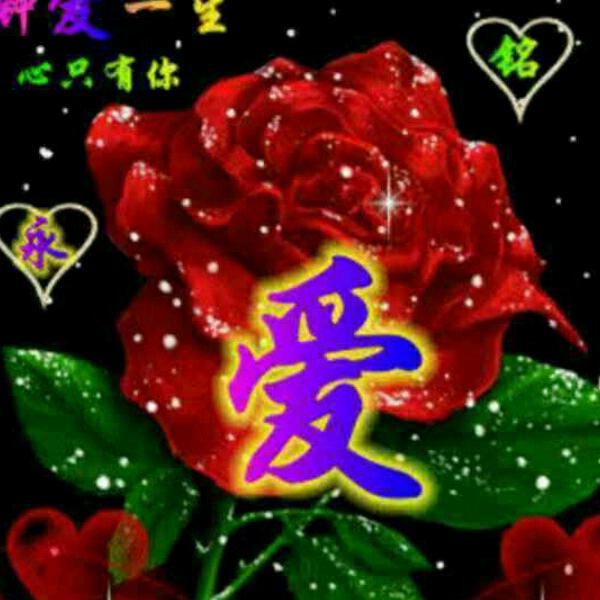 心情不错🌷