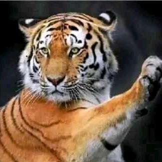 2233
