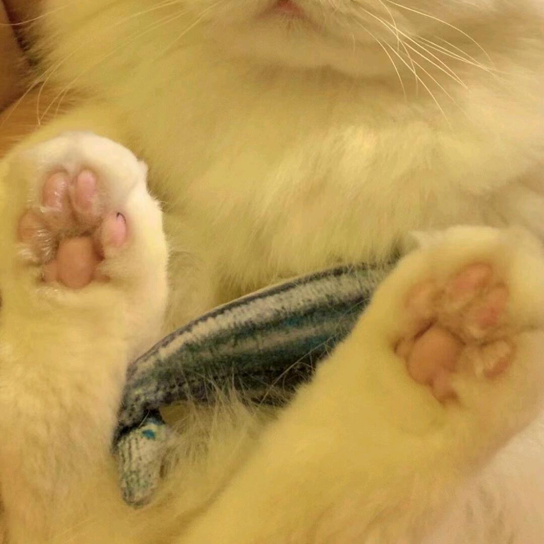 只和影子说话