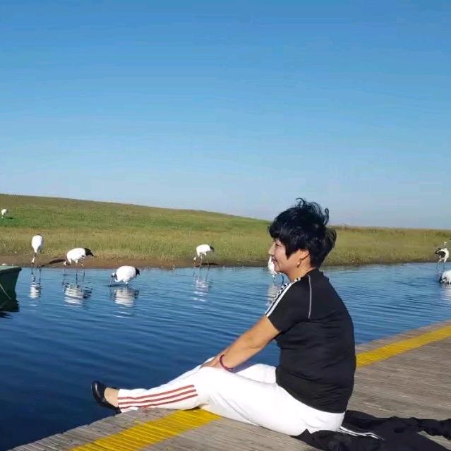 竺芸