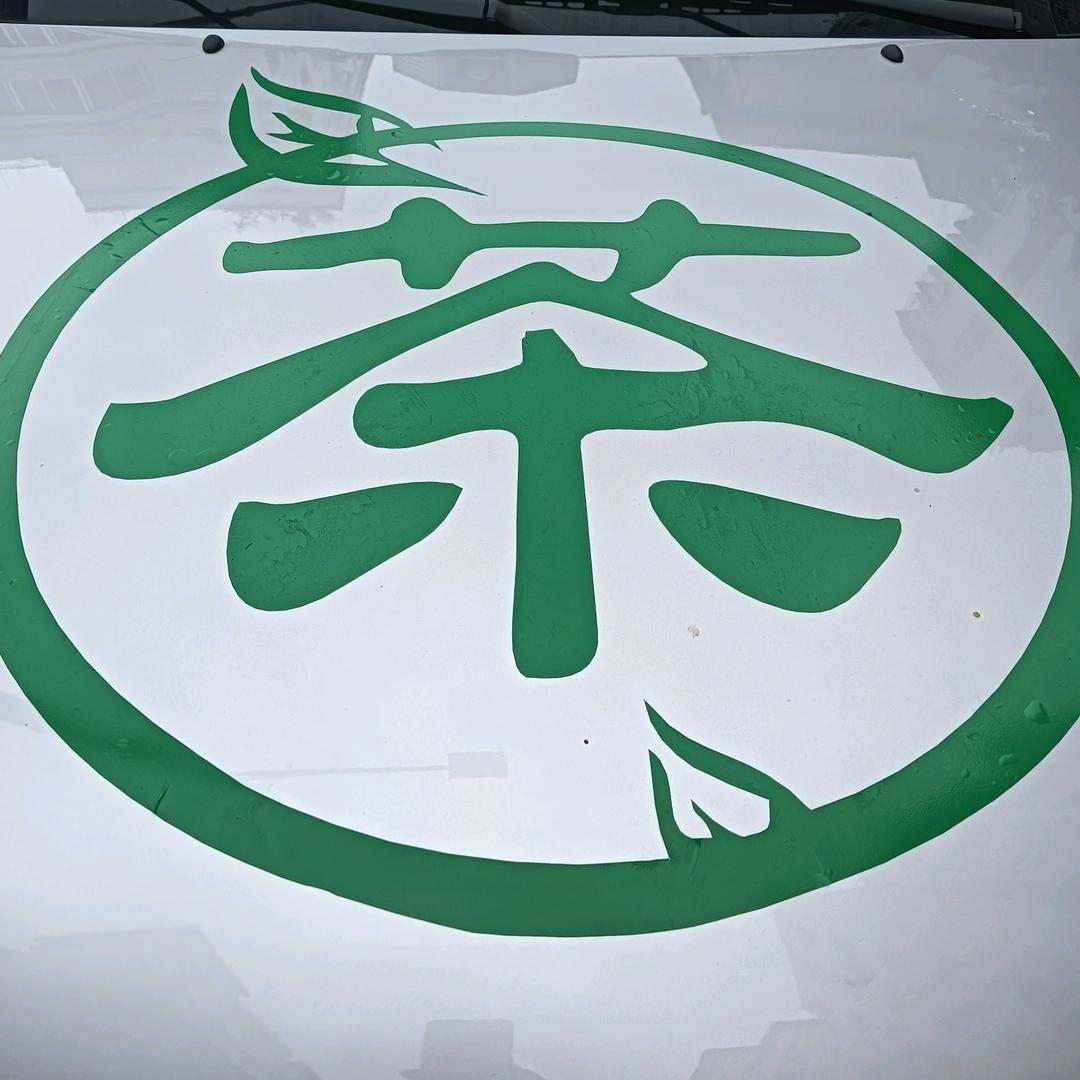 洋洋哥
