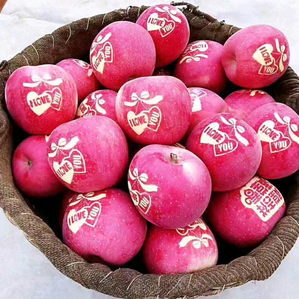 聊城水果批发市场小马