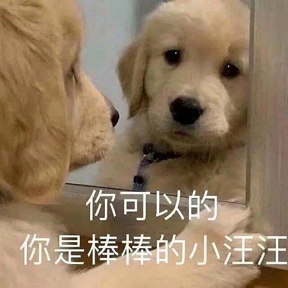 道德动物