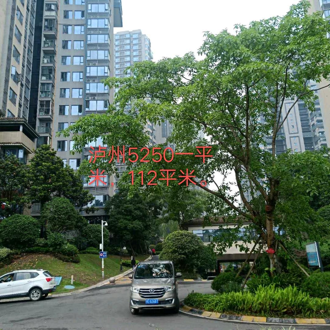 厚成蜜度人生
