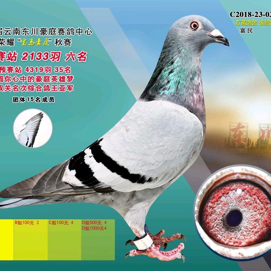 方黄鸽舍