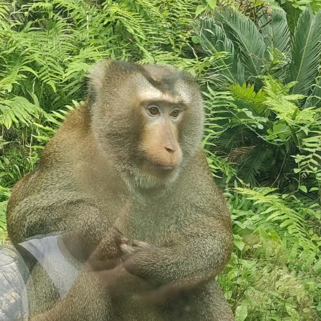 太阳当空赵🐝