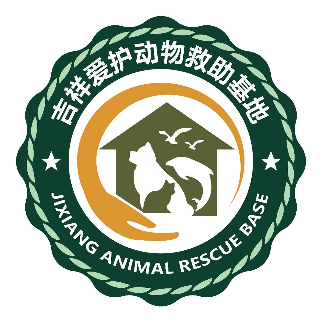 吉祥爱护动物