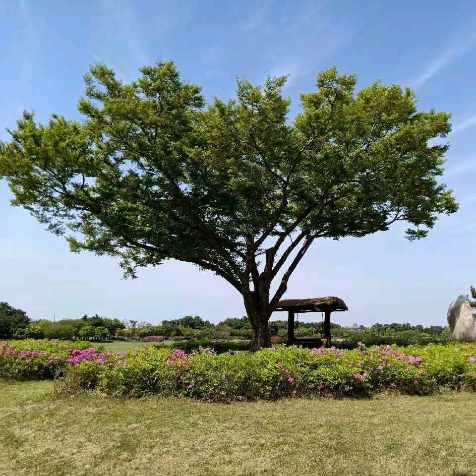 忍耐是福