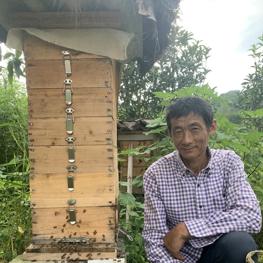 大山里的土蜂哥