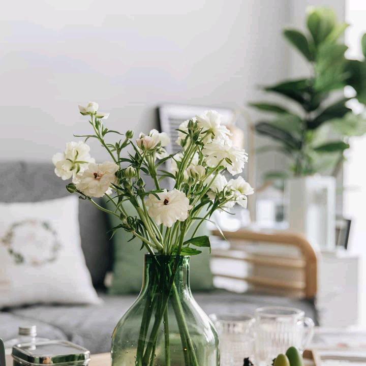 芬