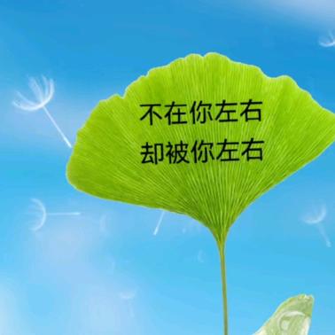 秋的思念