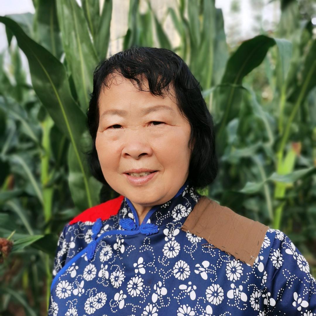 山姐妹（夕阳无限好）