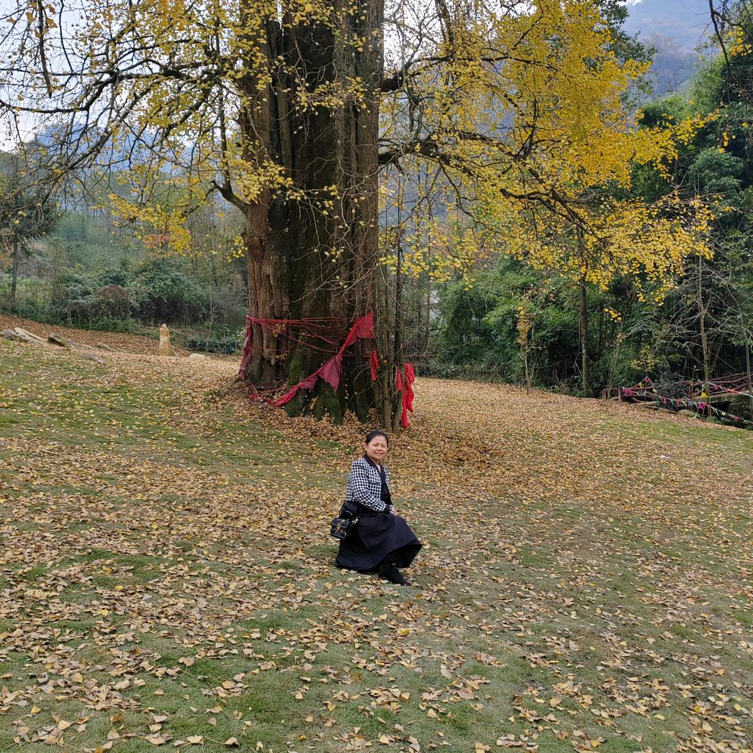 付会