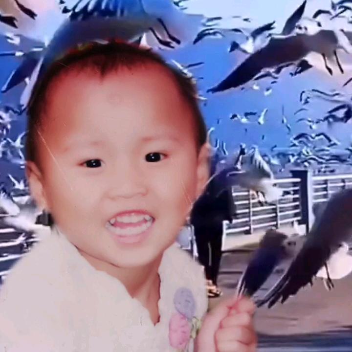 珍姐