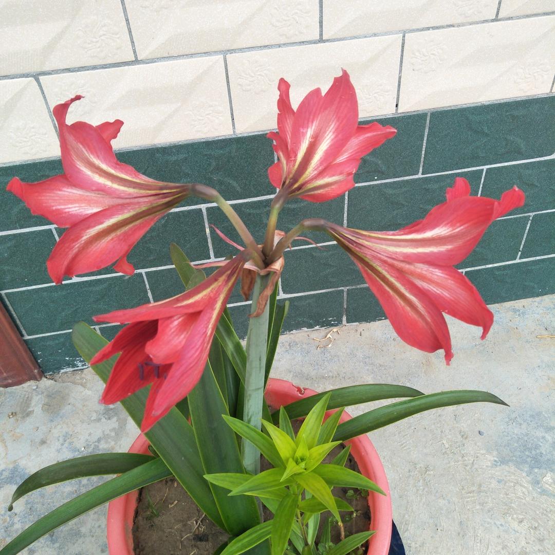 快乐每一天😊