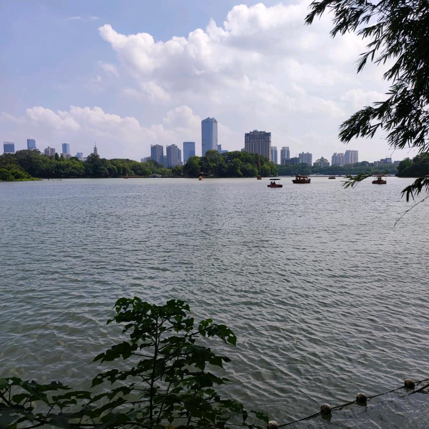 远嫁的姑娘（江西远嫁河南）