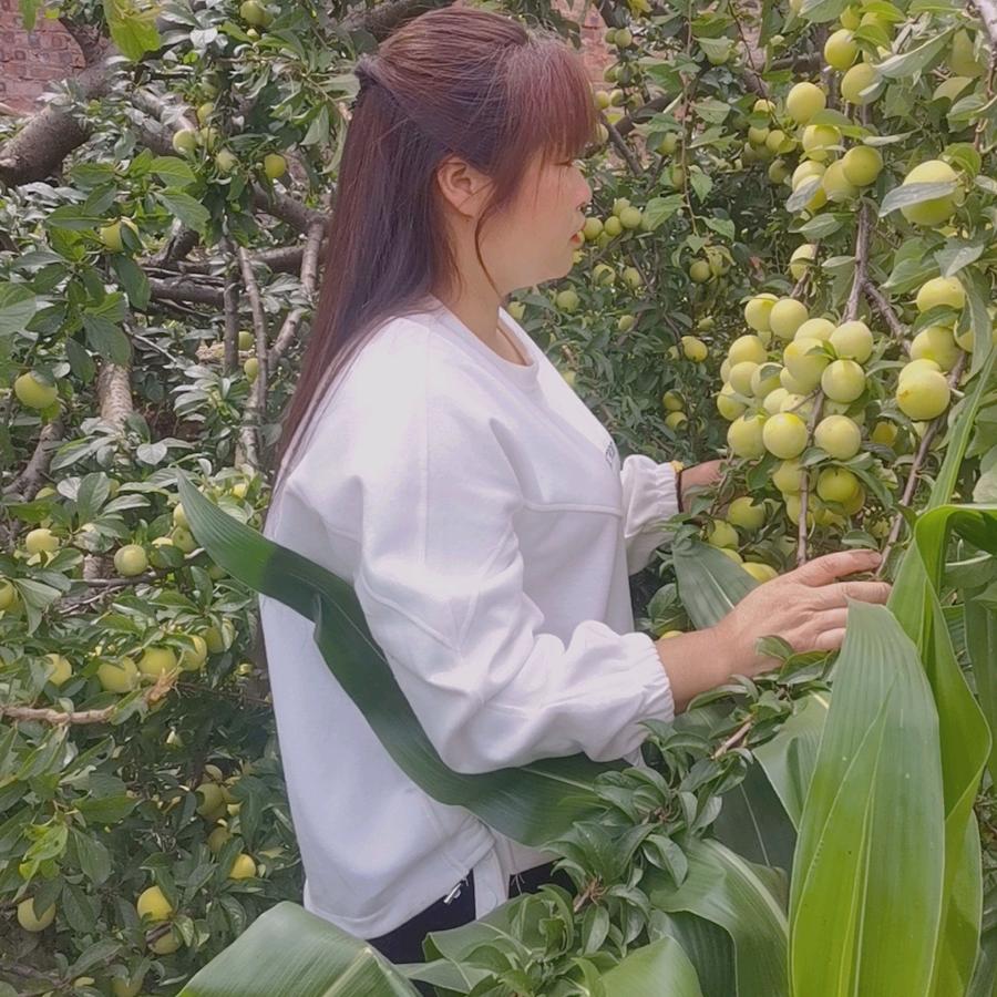 心中真累~罗