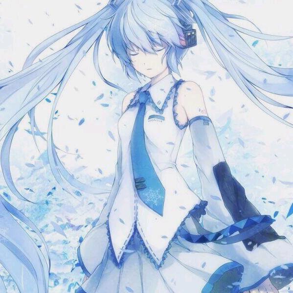 喵帕斯^_^