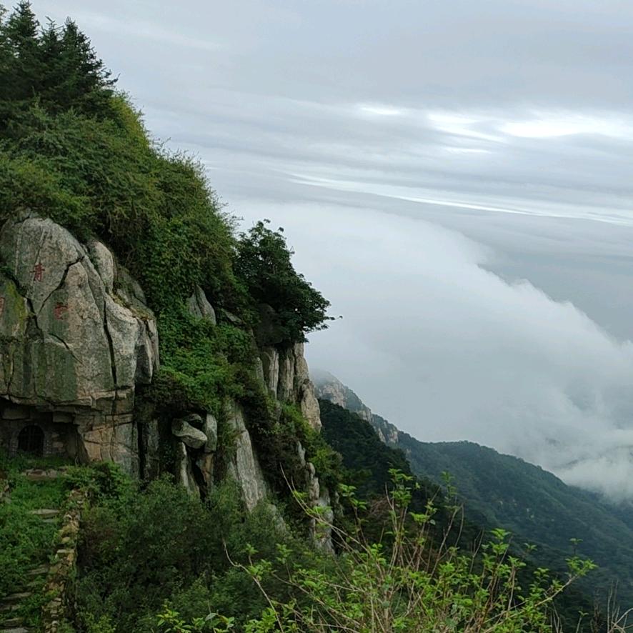 王渊