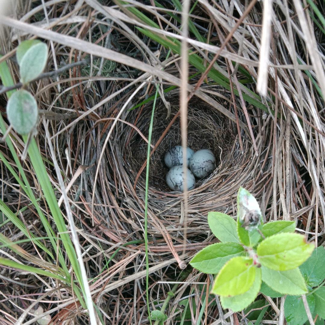 不负生活好时光