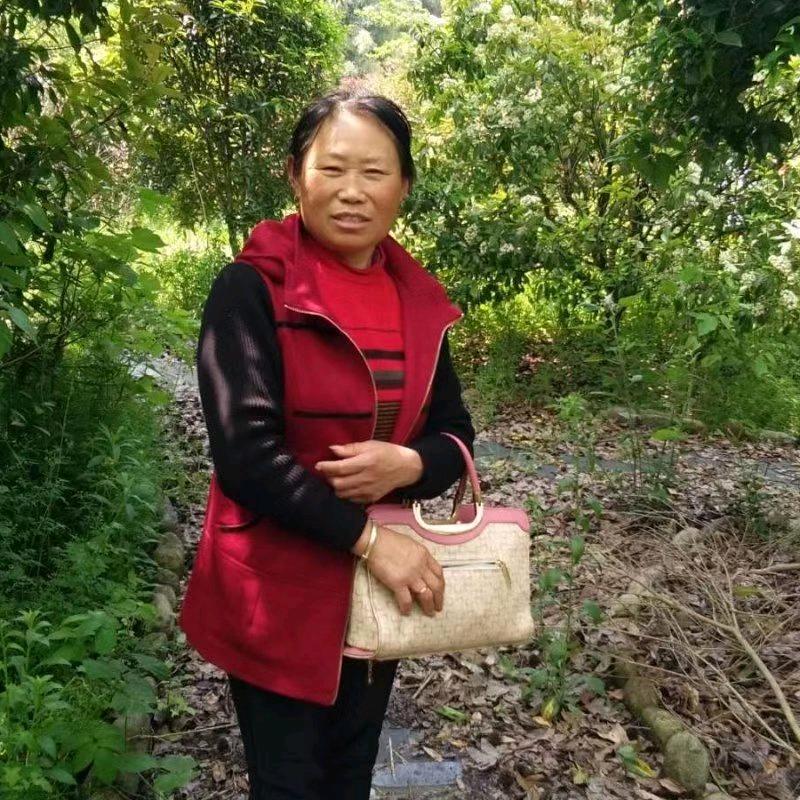 宋家大小姐
