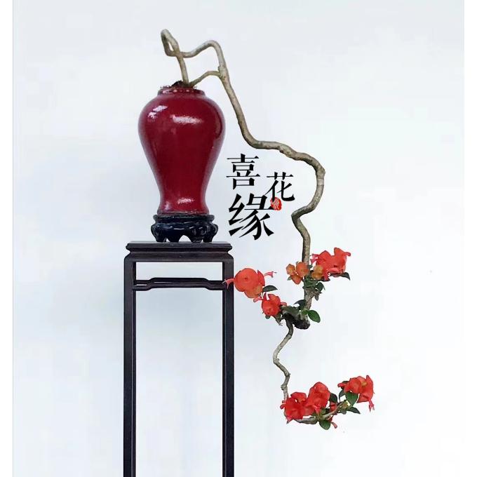 喜花缘盆艺