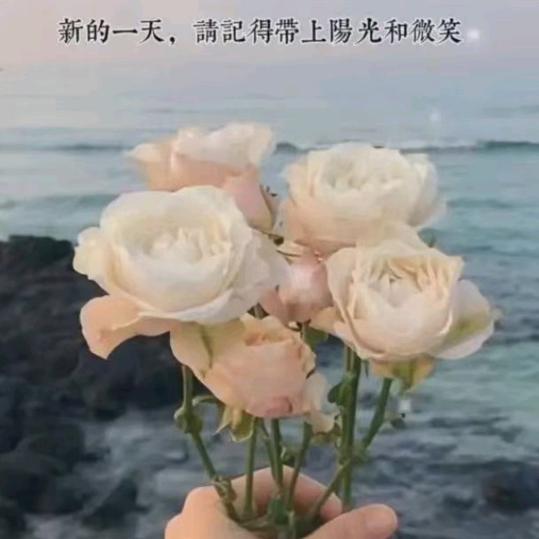惜惜