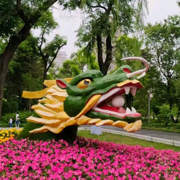 魏晨晨