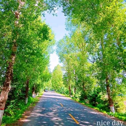 箭去似流星落地