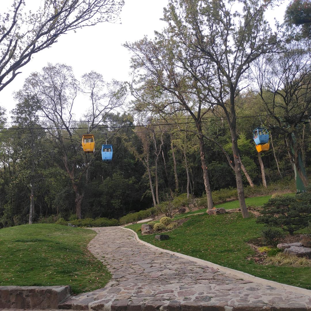 我是戴庄的人，