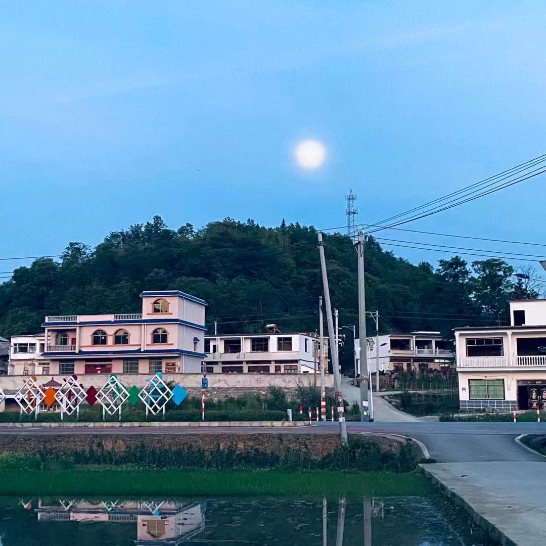 90后宝妈种植日记