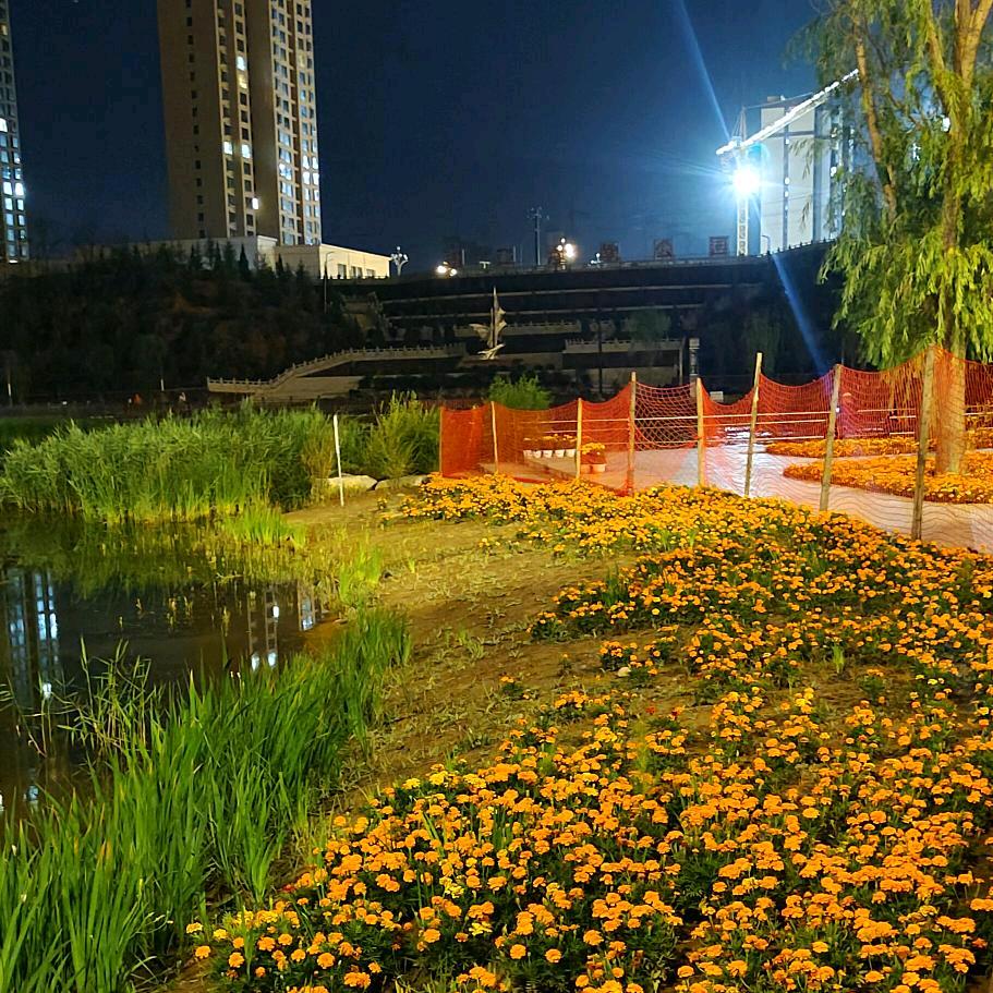 ꧁༺壹裑༒尘埃༻꧂