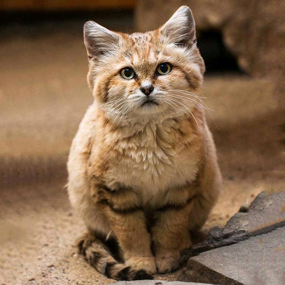 视界（晨跑、记录）