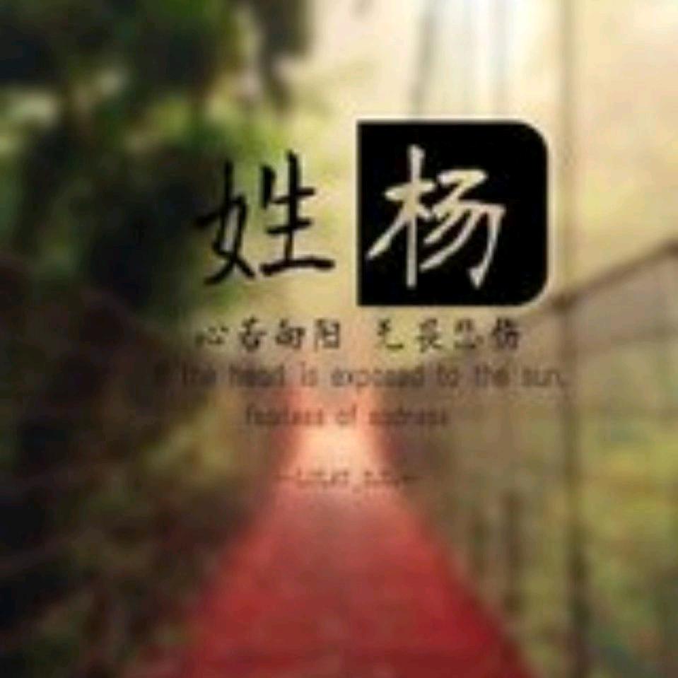 阳光4569952574800