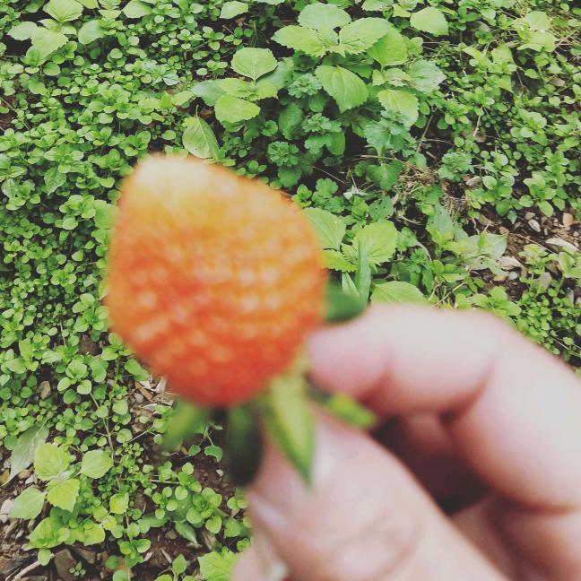 ℳ村姑也ঞ狠潮💕