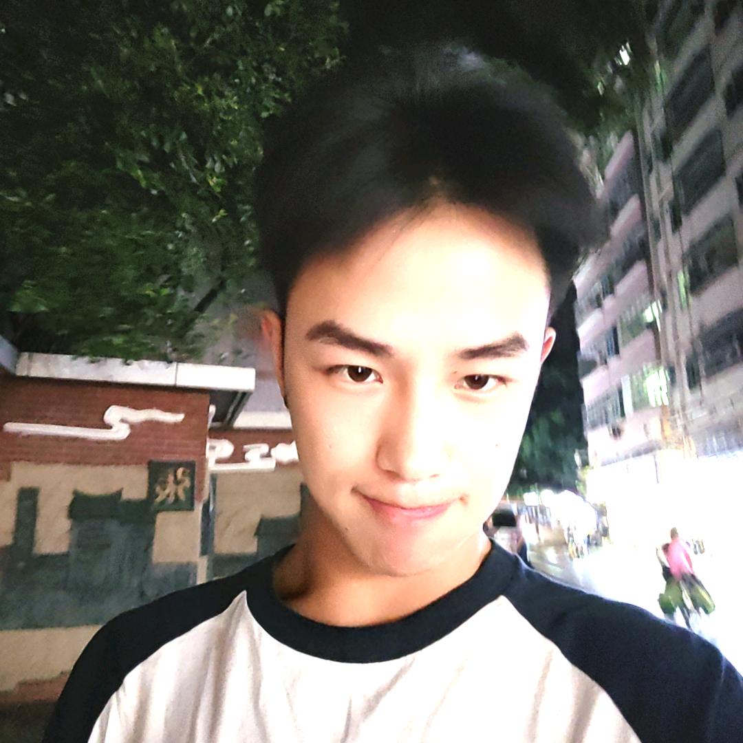 豪豪