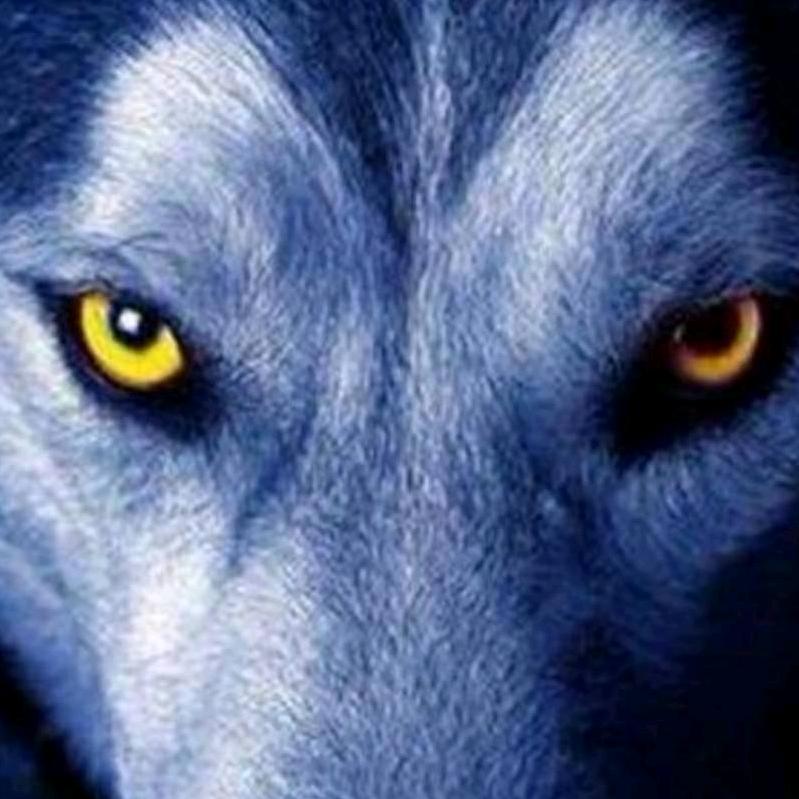 国晟.臻悦府郝希栋