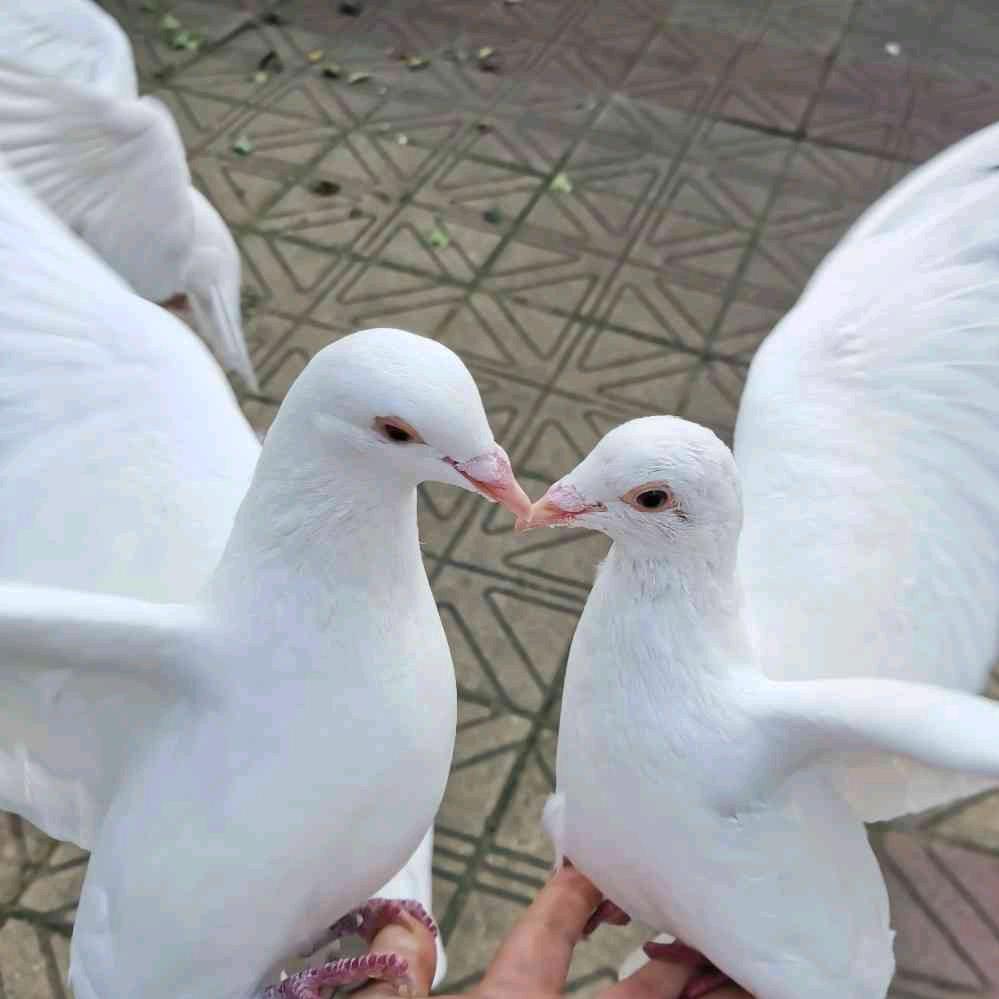 和天下赵老师