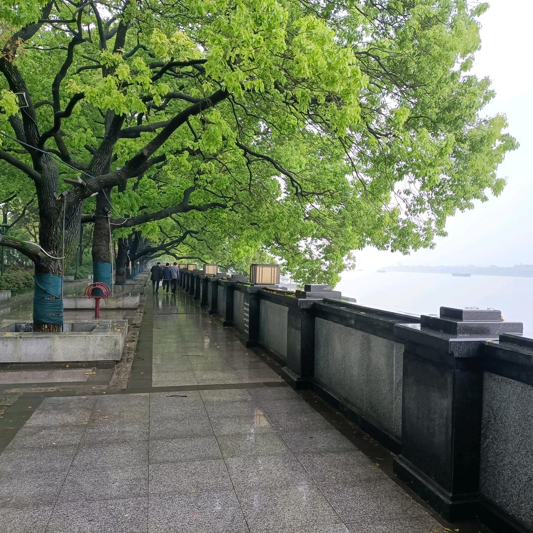阳光山峰