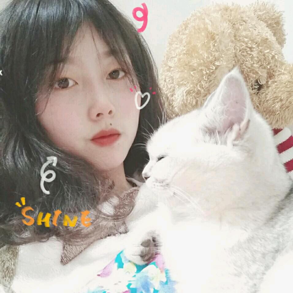 摆烂小猫