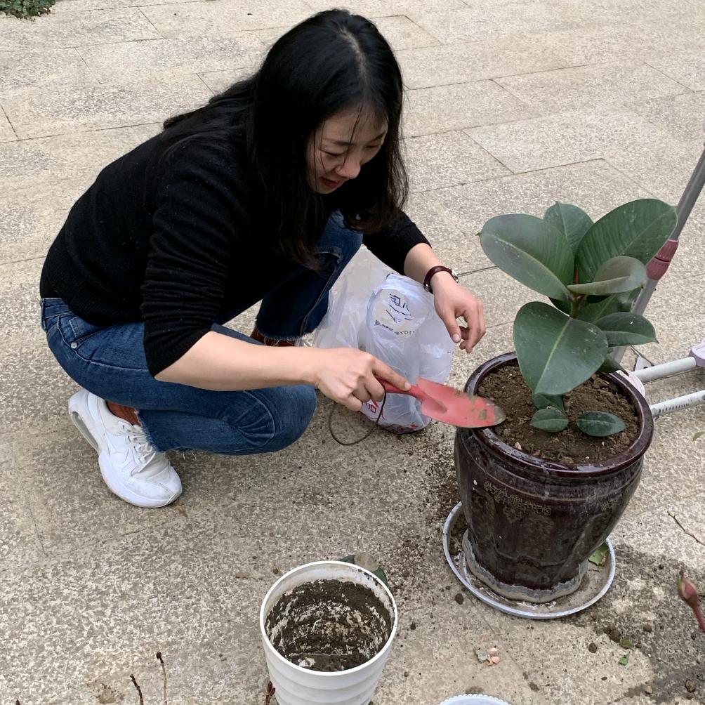 刘玉珍