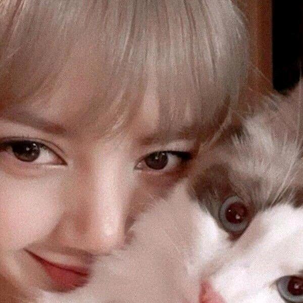 邂后