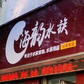 徐水海韵水族用品店