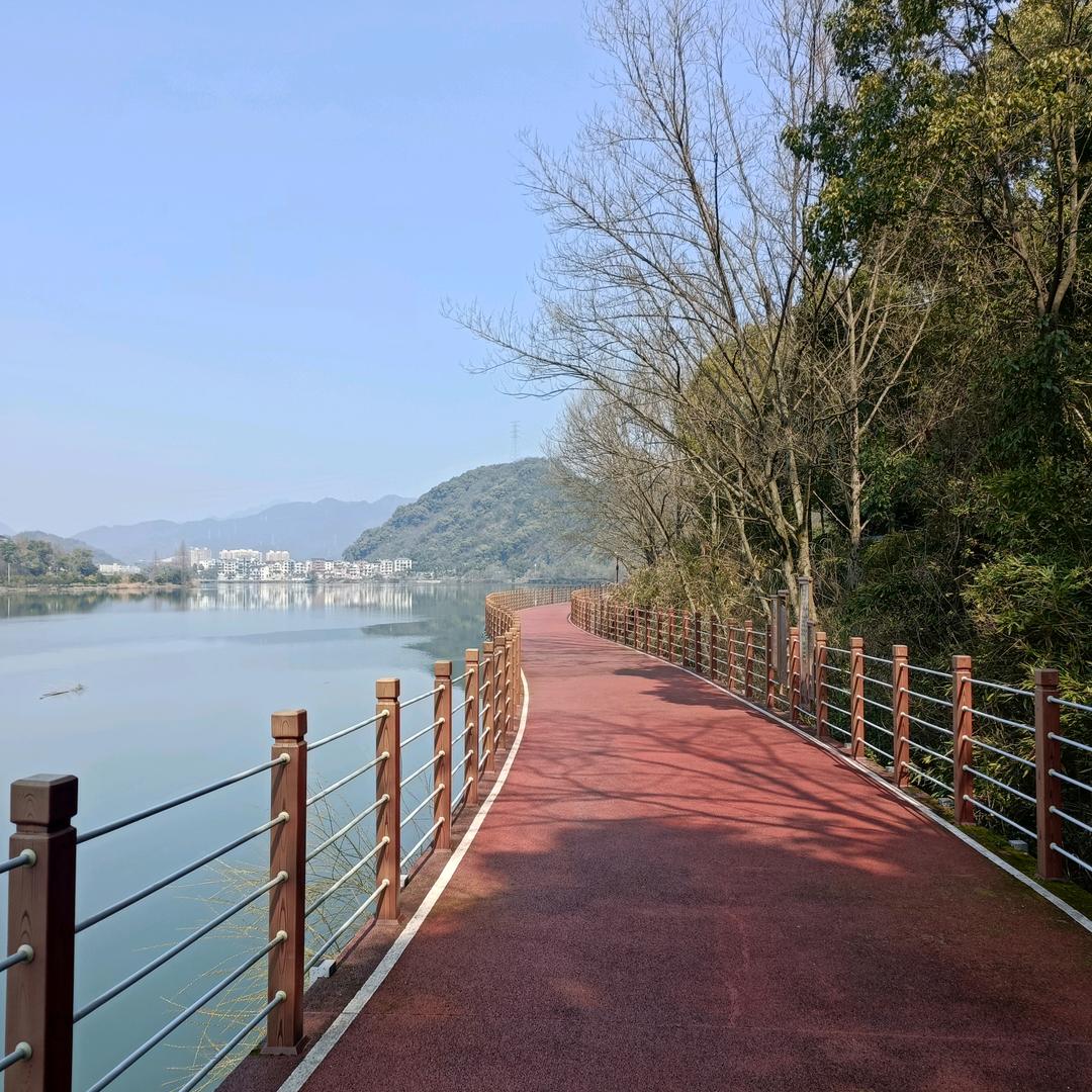 啊飞