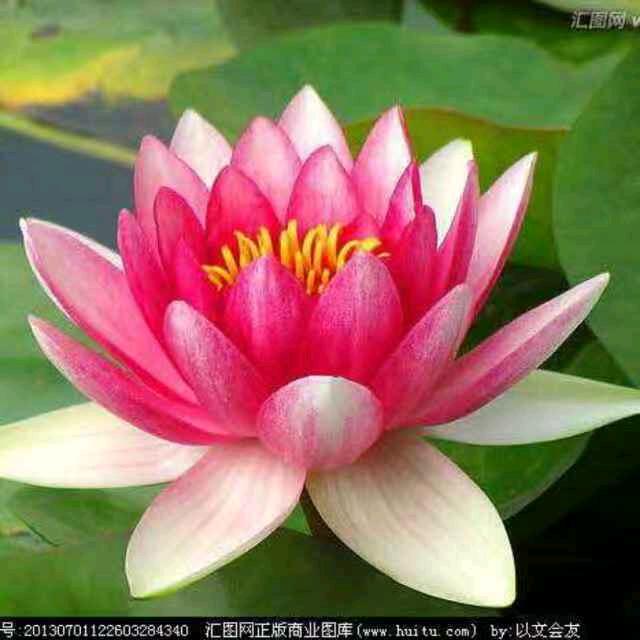 李琴《五河县恒运养殖专业合作社》