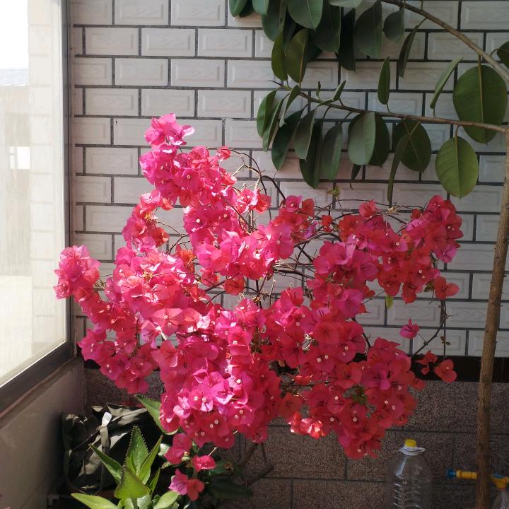 城信