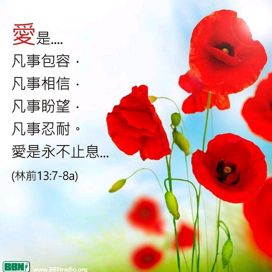 我的世界有你